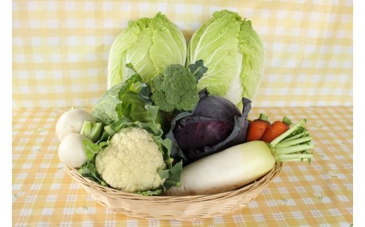 写真は発送商品(秋野菜セット)の一例です