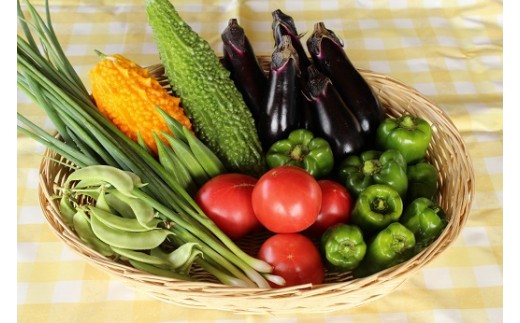 写真は発送商品(夏野菜セット)の一例です