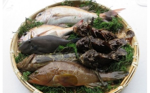 【Ｄ-30】 瀬戸の地魚詰合せ(上)　( 愛媛県漁業協同組合　大三島支所）　のサムネイル