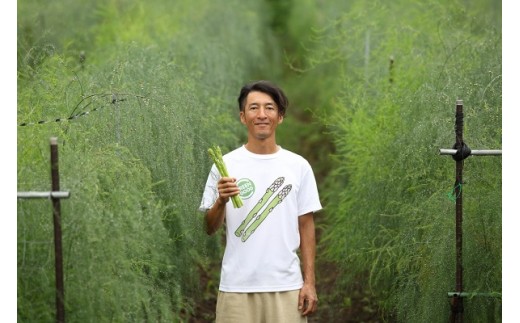 予約受付中!夏採りアスパラガス約1.2kg+エコバック
