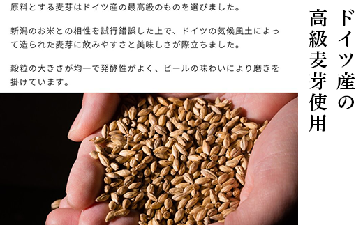 A12 0 12ヶ月連続お届け 吟籠クラフトビール12本飲み比べセット 2種各6本 新潟県胎内市 ふるさと納税 ふるさとチョイス