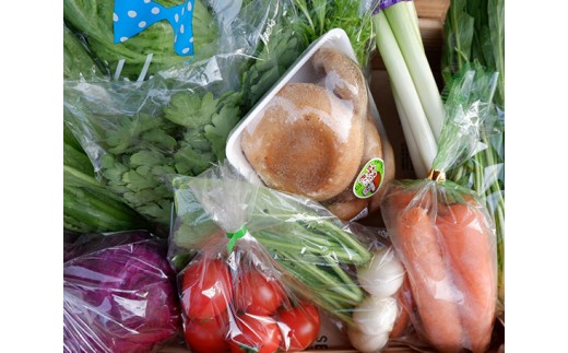 yLzNo.011 {̖؋lߍ킹 ^ ₳ VN Zbg L