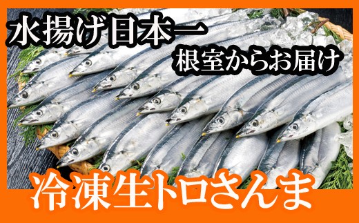 C 北海道根室産 さんま40尾 北海道根室市 ふるさと納税 ふるさとチョイス