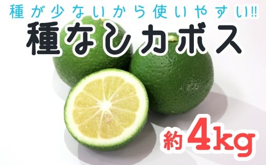 種が少ないから使いやすい！佐々木さんの「種無し（小種）かぼす」約4kg - 大分県臼杵市｜ふるさとチョイス - ふるさと納税サイト