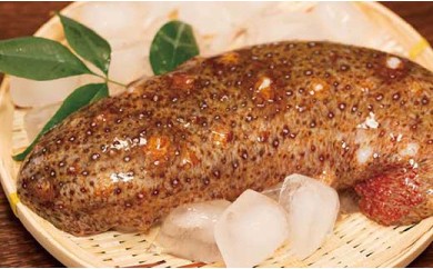 yRh哇z~G聙h哇YVRԂȂ܂ 5kgystJnI2026N120ȍ~̂͂z