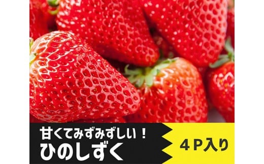 No 138 山鹿産 ひのしずく 約1 2kg 果物 フルーツ イチゴ いちご 苺 熊本県 特産品 熊本県山鹿市 ふるさと納税 ふるさとチョイス