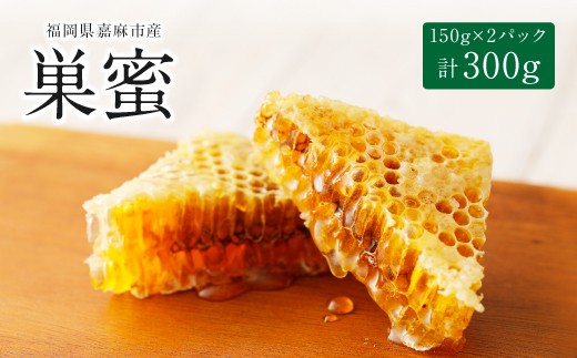 日本ミツバチ 巣蜜 約300g 和蜂巣蜜の ハチミツ - 福岡県嘉麻市