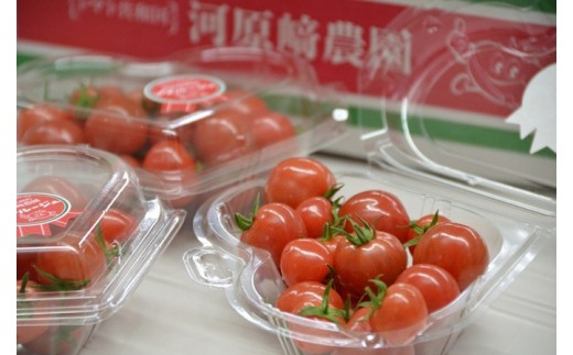 ミニ トマト プチルージュ 16パック 野菜 ダイエット 健康 リコピン