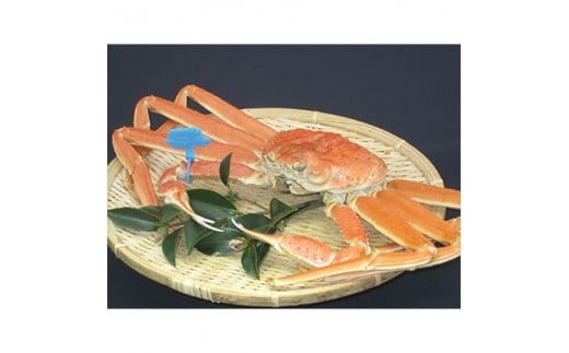 yɌV򒬁zl`Y@lŃ^Ott(1@500`600g)y1079535z