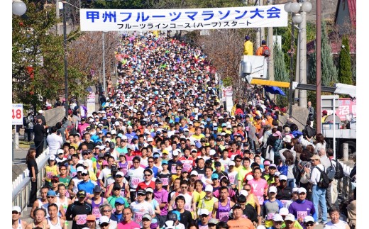 1267晩秋の富士川を 〜ふじかわキウイマラソン〜B 「駆ける」 【ふるさと納税】