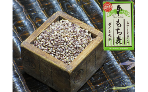 もち麦（ダイシモチ）1600g×2袋 034-B146 - 佐賀県伊万里市｜ふるさと