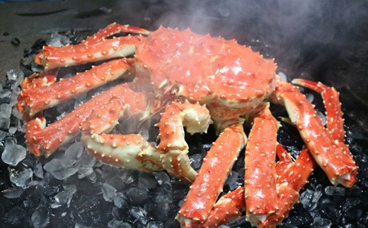 D 浜ゆでタラバガニ1尾 チルド便 21年10月上旬以降発送 北海道根室市 ふるさと納税 ふるさとチョイス