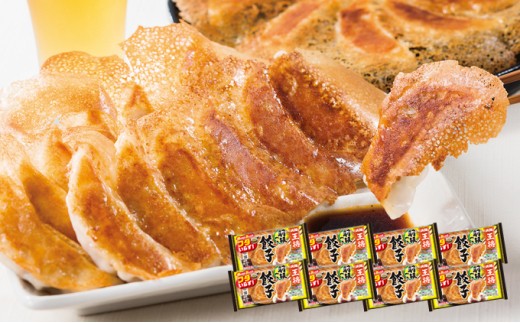 5855 0073 大阪王将aセット 群馬県板倉町 ふるさと納税 ふるさとチョイス