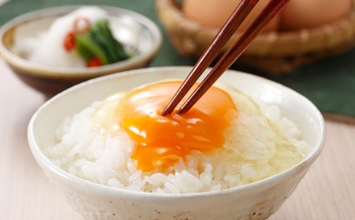 サンプル写真