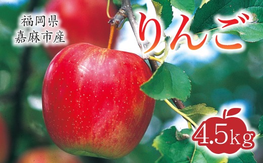 林檎4.5kg九州りんご村九州産