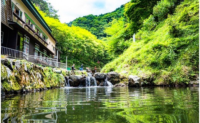 エサ釣り半日券 竿 エサ込 1名様 大阪府千早赤阪村 ふるさと納税 ふるさとチョイス