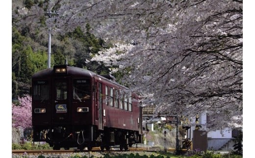 62 わたらせ渓谷鐵道 わ鐵のわっしー グッズ 一日フリーきっぷ 群馬県みどり市 ふるさと納税 ふるさとチョイス