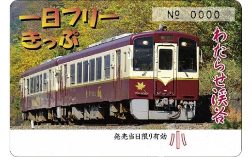 64 わたらせ渓谷鐵道 トロッコ列車の旅セット こども１名用 群馬県みどり市 ふるさと納税 ふるさとチョイス