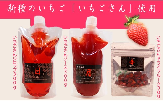 いちご農園直送 いちごソース シロップ ドライフルーツセット いごさん 佐賀県小城市 ふるさと納税 ふるさとチョイス