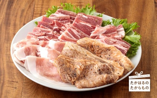 y{茧zHׁׂI{荕3Zbg [ē lߍ킹 [XXЂ EfXCX oXCX ؓ  XgbvIC] TF0387-P00007