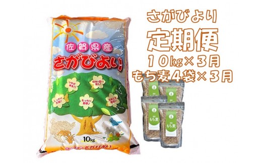 【佐賀県基山町】G7-001C ３カ月定期便さがびより １０kg＆もち麦４袋（計３０kg・１２袋）