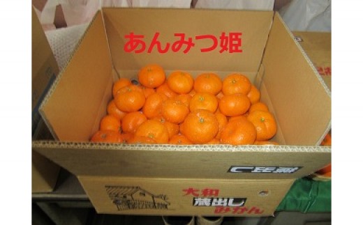 川上産蔵出しみかん あんみつ姫4㎏ - 佐賀県NPO支援｜ふるさとチョイス