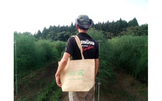 夏採りアスパラガス約1.2kg+保冷エコバック