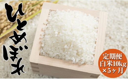 5ヶ月定期便】 令和7年度産 ひとめぼれ 白米 50kg (10kg×5ヶ月定期便 