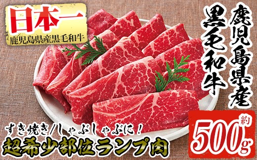 No 257 超希少部位 鹿児島県産黒毛和牛肉 ランプ肉スライス 約500g すき焼きやしゃぶしゃぶに 財宝 鹿児島県姶良市 ふるさと納税 ふるさとチョイス