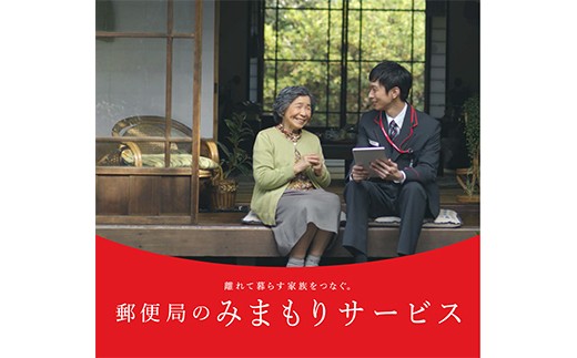 12か月間のみまもりサービスです