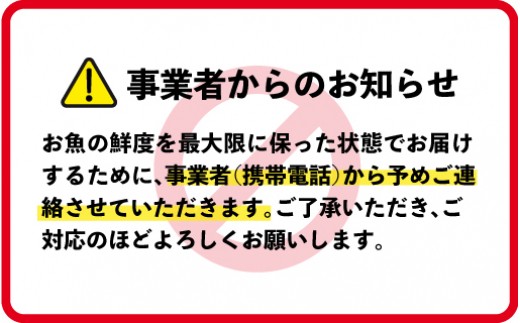 よろしくお願いします 常体