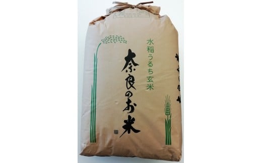 令和6年10月中旬以降発送＞ひのひかり(奈良県天理産)玄米30㎏＜令和6年産＞(一等米)【1085320】 - 奈良県天理市｜ふるさとチョイス -  ふるさと納税サイト