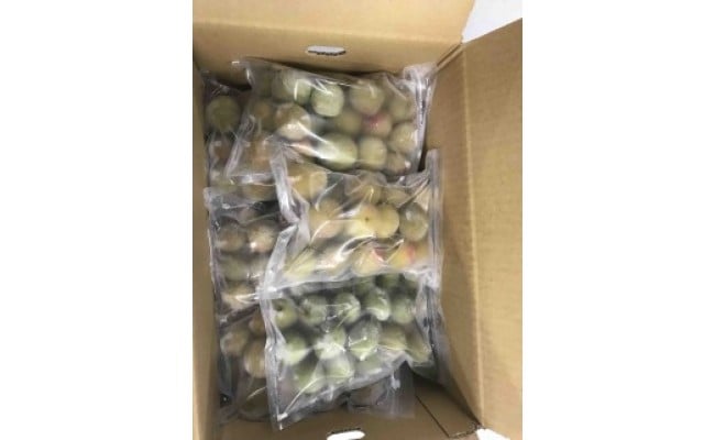 和歌山産 冷凍 南高梅 3kg(500g×6パック)