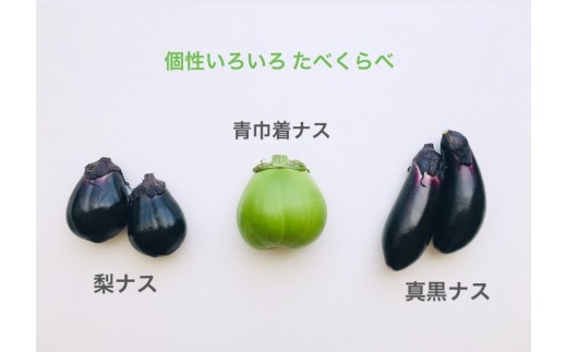 年のベスト 奈良県の伝統的な野菜味間大和共通してに入るのは 最優秀ピクチャーゲーム