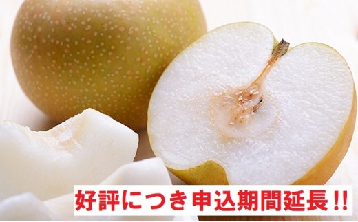 埼玉県白岡市のおすすめ返礼品検索 ふるさと納税コンシェルジュサイト ふるピタ