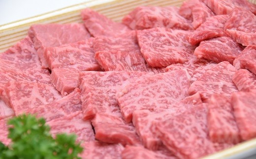 M10s58 3ヶ月待ち 飛騨牛a5等級 焼肉用400g モモ肉 岐阜県美濃加茂市 ふるさと納税 ふるさとチョイス