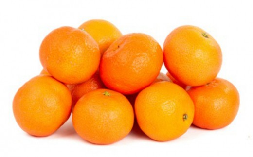 A 441 有機肥料栽培の もぎたて新鮮 温州みかん約4kg 21年11月発送開始分先行予約 福岡県飯塚市 ふるさと納税 ふるさとチョイス