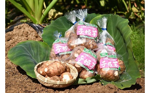 おいしさいっぱい里芋 伝統野菜 子姫芋 3kg 500g 6袋 010 8 山形県寒河江市 ふるさと納税 ふるさとチョイス