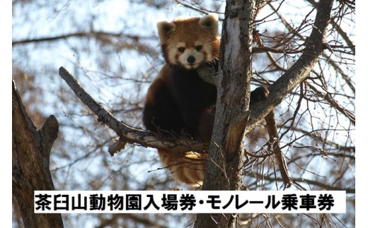y쌧szJ0040PRꌔEPRm[Ԍ@WZbg