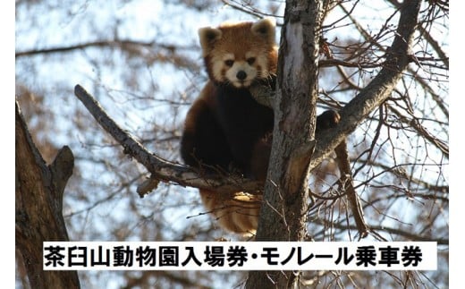 J0040茶臼山動物園入場券・茶臼山モノレール乗車券 ８セット - 長野県長野市｜ふるさとチョイス - ふるさと納税サイト