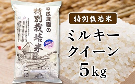J0463 ミルキークイーン 5kg特別栽培米 平成農園 長野県長野市 ふるさと納税 ふるさとチョイス