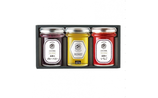 J0124アカシアはちみつ チューブ300ｇ 長野県長野市 ふるさと納税 ふるさとチョイス