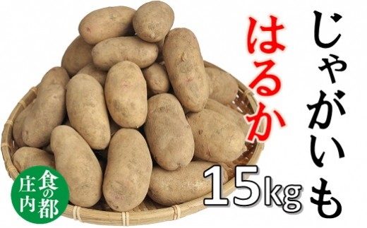 庄内のじゃがいも はるか 約15kg 山形県三川町 ふるさと納税 ふるさとチョイス