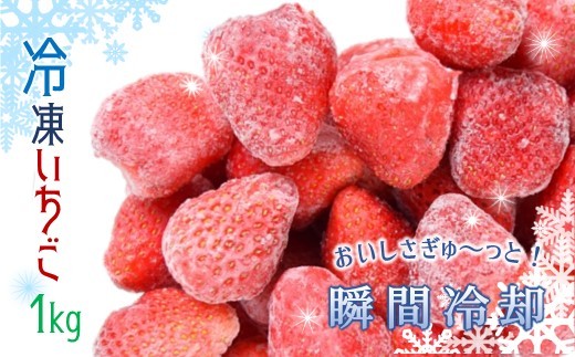 【熊本県玉名市】BL6 くまもと玉名産 冷凍イチゴ