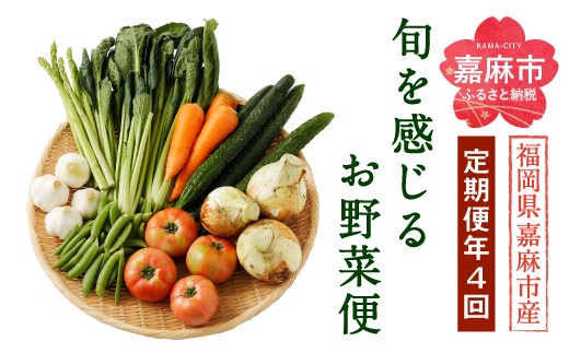 旬を感じるお野菜 定期便 年4回 季節 野菜セット - 福岡県嘉麻市 