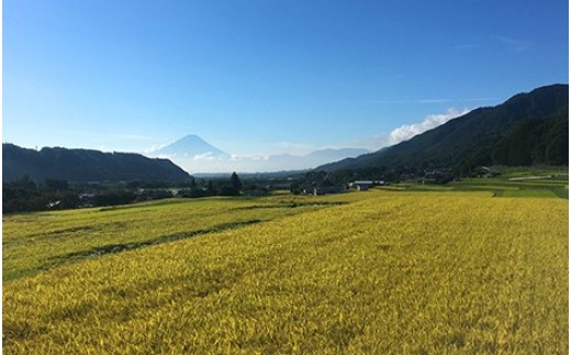 45 2 つぶら野米 6kg コシヒカリ 白米３ 玄米３kg 山梨県韮崎市 ふるさと納税 ふるさとチョイス