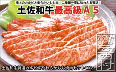サンプル写真
