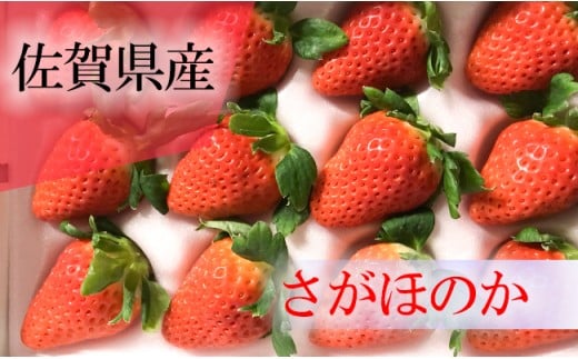 佐賀県産 さがほのか 350ｇ 9 18粒 佐賀県npo支援 ふるさと納税 ふるさとチョイス