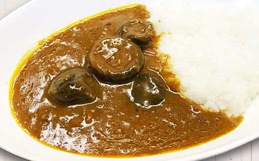 ご当地カレー 豊後きのこカレー 6パック 大分県日出町 ふるさと納税 ふるさとチョイス