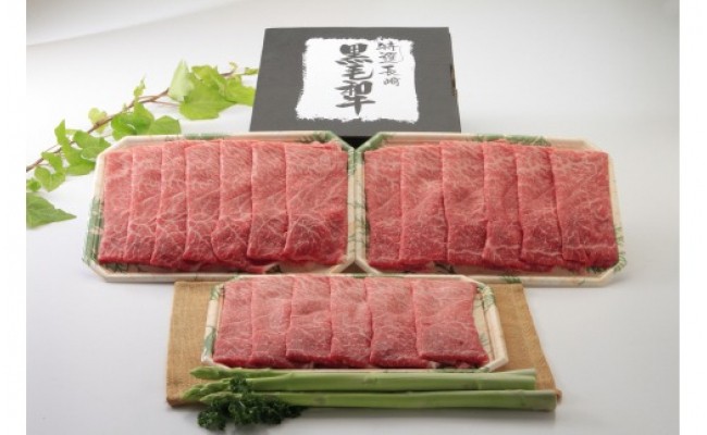 ふるさとチョイス | 牛肉 長崎県